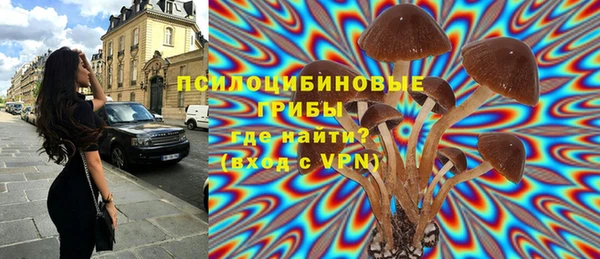 эйфоретик Волоколамск