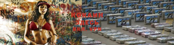 винт Горняк